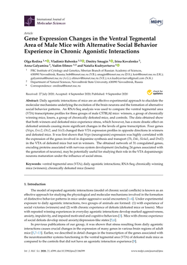 Gene Expression Changes in the Ventral Tegmental Area of Male Mice with Alternative Social Behavior Experience in Chronic Agonistic Interactions