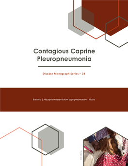 Contagious Caprine Pleuropneumonia | Monograph 03 • • •