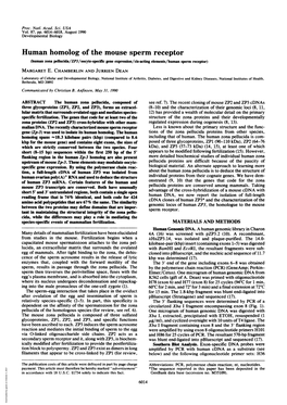 Human Homolog of the Mouse Sperm Receptor (Human Zona Pellucida/ZP3/Oocyte-Specific Gene Expression/Cis-Acting Elements/Human Sperm Receptor) MARGARET E