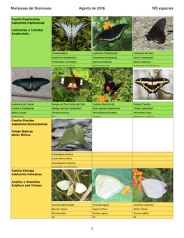 Mariposas Del Biomuseo Agosto De 2016 195 Especies