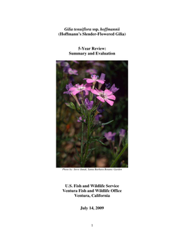 Gilia Tenuiflora Ssp. Hoffmannii (Hoffmann's Slender-Flowered Gilia) 5-Year Review: Summary and Evaluation U.S. Fish and Wildl
