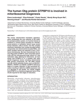 The Human Obg Protein GTPBP10 Is Involved in Mitoribosomal Biogenesis