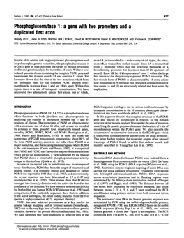 Phosphoglucomutase 1: a Gene with Two Promoters and a Duplicated First Exon Wendy PUTT, Jane H