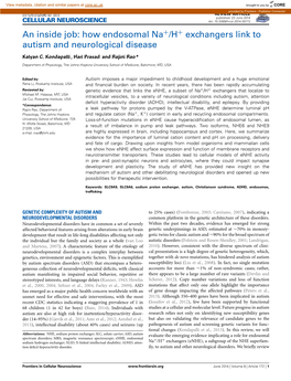 How Endosomal Na+/H+ Exchangers Link to Autism and Neurological Disease