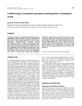 A Different Type of Amphibian Mesoderm Morphogenesis in Ceratophrys Ornata