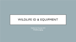 Wildlife Id & Equipment