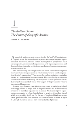 The Resilient Sector: the Future of Nonprofit America Lester M