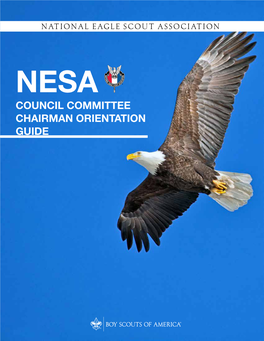 NESA-Committee-Guidebook-And-Chairman-Orientation-Guide.Pdf