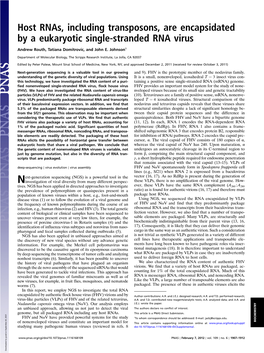 Host Rnas, Including Transposons, Are Encapsidated by a Eukaryotic Single-Stranded RNA Virus