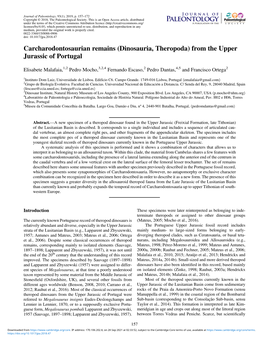 Carcharodontosaurian Remains (Dinosauria, Theropoda) from the Upper Jurassic of Portugal