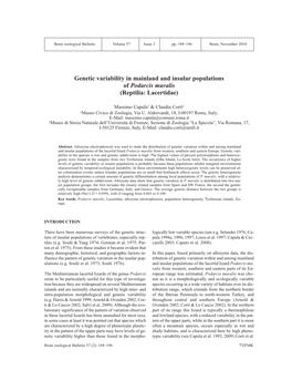 Genetic Variability in Mainland and Insular Populations of Podarcis Muralis (Reptilia: Lacertidae)