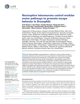 Nociceptive Interneurons Control Modular Motor Pathways to Promote