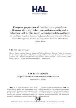 European Population of Pectobacterium Punjabense: Genomic Diversity, Tuber Maceration Capacity and a Detection Tool for This Rarely Occurring Potato Pathogen