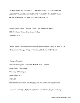 Morphological and Molecular Differentiation of Ulva Spp