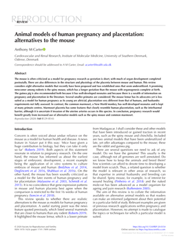 Animal Models of Human Pregnancy and Placentation: Alternatives to the Mouse