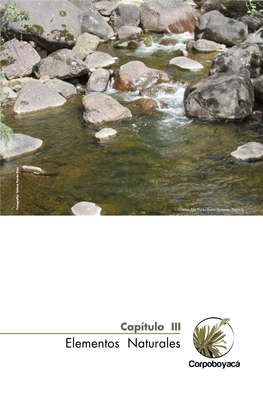 Capítulo III – Elementos Naturales