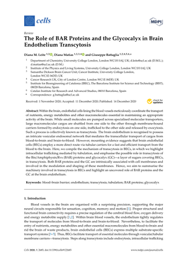 The Role of BAR Proteins and the Glycocalyx in Brain Endothelium Transcytosis