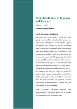 5 Field Identification of Groupers