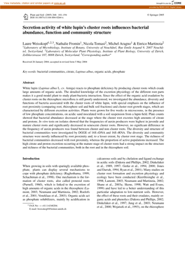 Secretion Activity of White Lupin's Cluster Roots Influences Bacterial