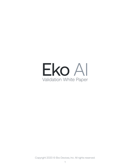 Eko AI Validation White Paper