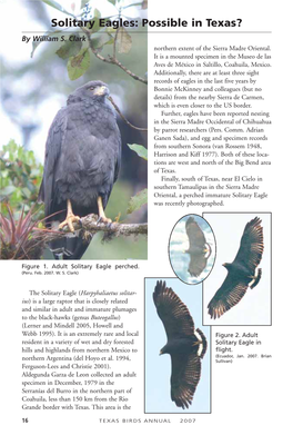 Solitary Eagles: Possible in Texas? by William S