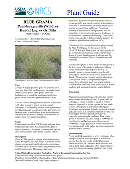 BLUE GRAMA Grows Normally As a Bunch Grass, but in the Northern States and in the Mountains, Or in Areas Under Heavy Bouteloua Gracilis (Willd