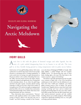 Navigating the Arctic Meltdown