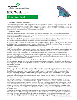 H2O Wetland Patch Resource Book