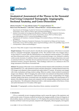Anatomical Assessment of the Thorax in the Neonatal Foal Using Computed Tomography Angiography, Sectional Anatomy, and Gross Dissections