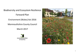 Biodiversity and Ecosystem Resilience Forward Plan