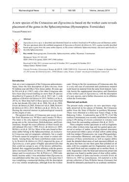 A New Species of the Cretaceous Ant Zigrasimecia Based on the Worker Caste Reveals Placement of the Genus in the Sphecomyrminae (Hymenoptera: Formicidae)