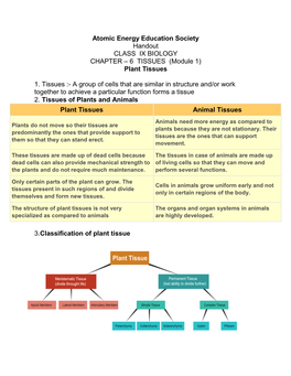 Plant Tissues 1. Tissues