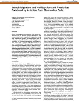 Branch Migration and Holliday Junction Resolution Catalyzed by Activities from Mammalian Cells