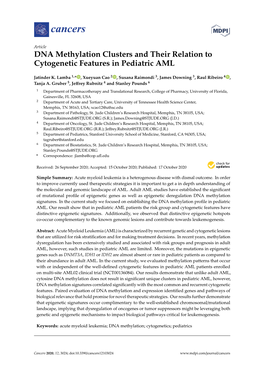 DNA Methylation Clusters and Their Relation to Cytogenetic Features in Pediatric AML