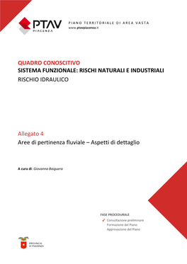 Allegato 4 Aree Di Pertinenza Fluviale – Aspetti Di Dettaglio