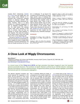 A Close Look at Wiggly Chromosomes