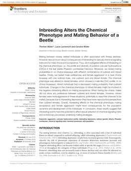 Inbreeding Alters the Chemical Phenotype and Mating Behavior of a Beetle