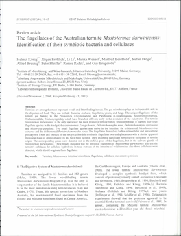 The Flagellates of the Australian Termite Mastotermes Darwiniensis: Identification of Their Symbiotic Bacteria and Cellulases