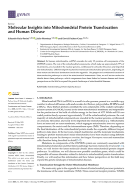 Molecular Insights Into Mitochondrial Protein Translocation and Human Disease