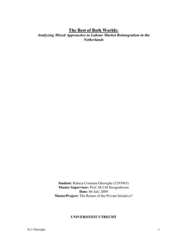 The Best of Both Worlds: Analyzing Mixed Approaches to Labour Market Reintegration in the Netherlands