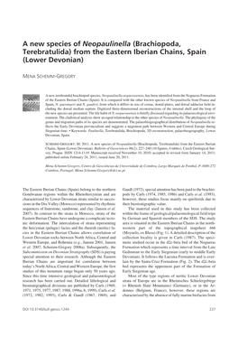 A New Species of Neopaulinella (Brachiopoda, Terebratulida) from the Eastern Iberian Chains, Spain (Lower Devonian)