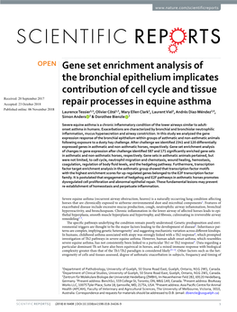 Gene Set Enrichment Analysis of the Bronchial Epithelium Implicates