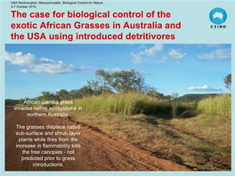 The Case for Biological Control of the Exotic African Grasses in Australia and the USA Using Introduced Detritivores