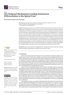 The Temporal Mechanisms Guiding Interneuron Differentiation in the Spinal Cord