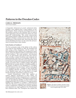 Patterns in the Dresden Codex CARA G