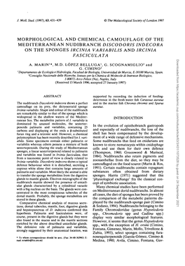 Morphological and Chemical Camouflage of The