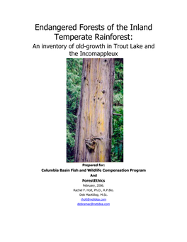 Endangered Forests in the Inland Temperate Rainforest
