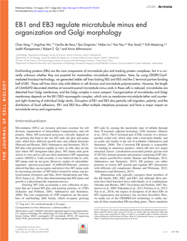 EB1 and EB3 Regulate Microtubule Minus End Organization and Golgi Morphology
