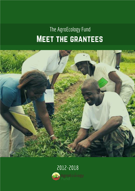 Meet the Grantees