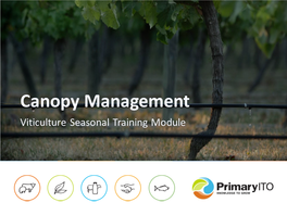 Canopy Management